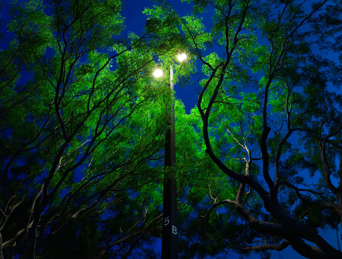 Together Through The Night 1, Together Through The Night collection