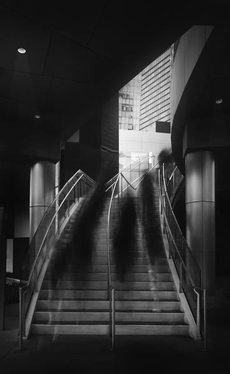 Shadow 5, Shadow collection