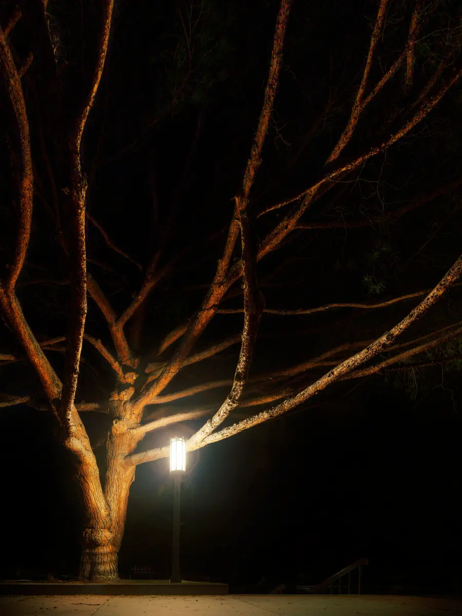 Together Through The Night 2, Together Through The Night collection