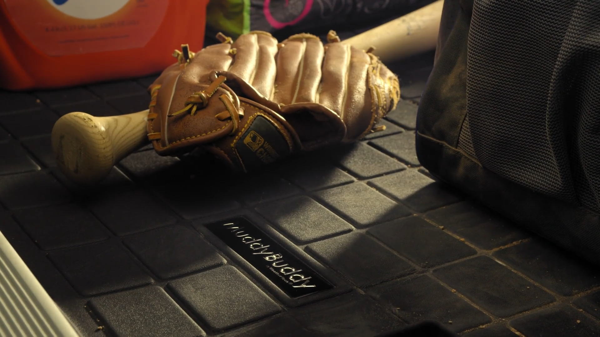 A WeatherTech Muddy Buddy scene